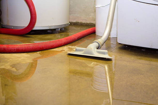 Trusted South San Francisco, CA Water damage restoration Experts
